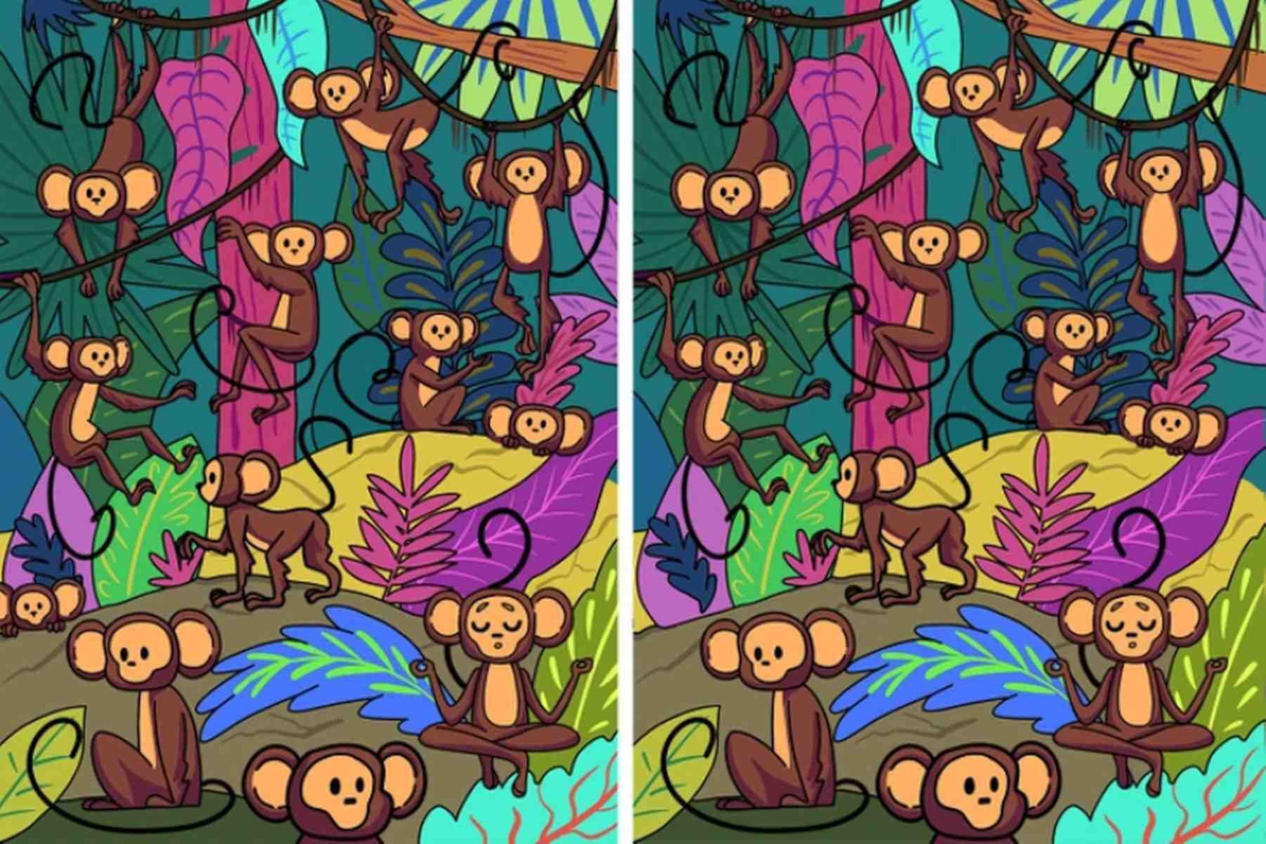 RETO VISUAL | Estas dos imágenes de monos parecen iguales, pero no. Tienen una diferencia. (Foto: genial.guru)