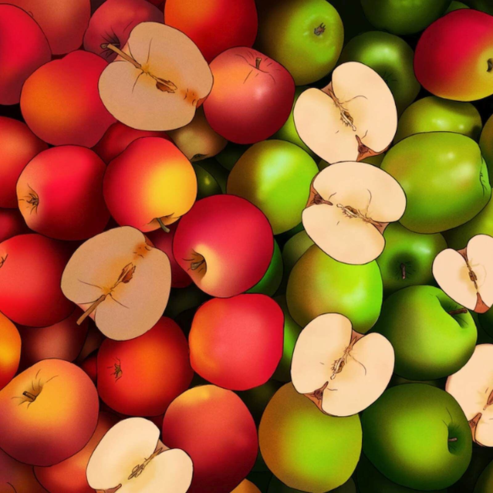 RETO VISUAL | Esta imagen te muestra bastantes manzanas. Debes encontrar a la que tiene forma de corazón. (Foto: genial.guru)