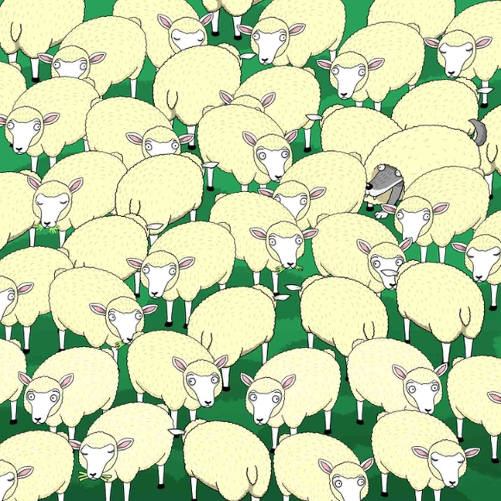 RETO VISUAL | Esta imagen te muestra bastantes ovejas. Tienes que ubicar al lobo. (Foto: genial.guru)
