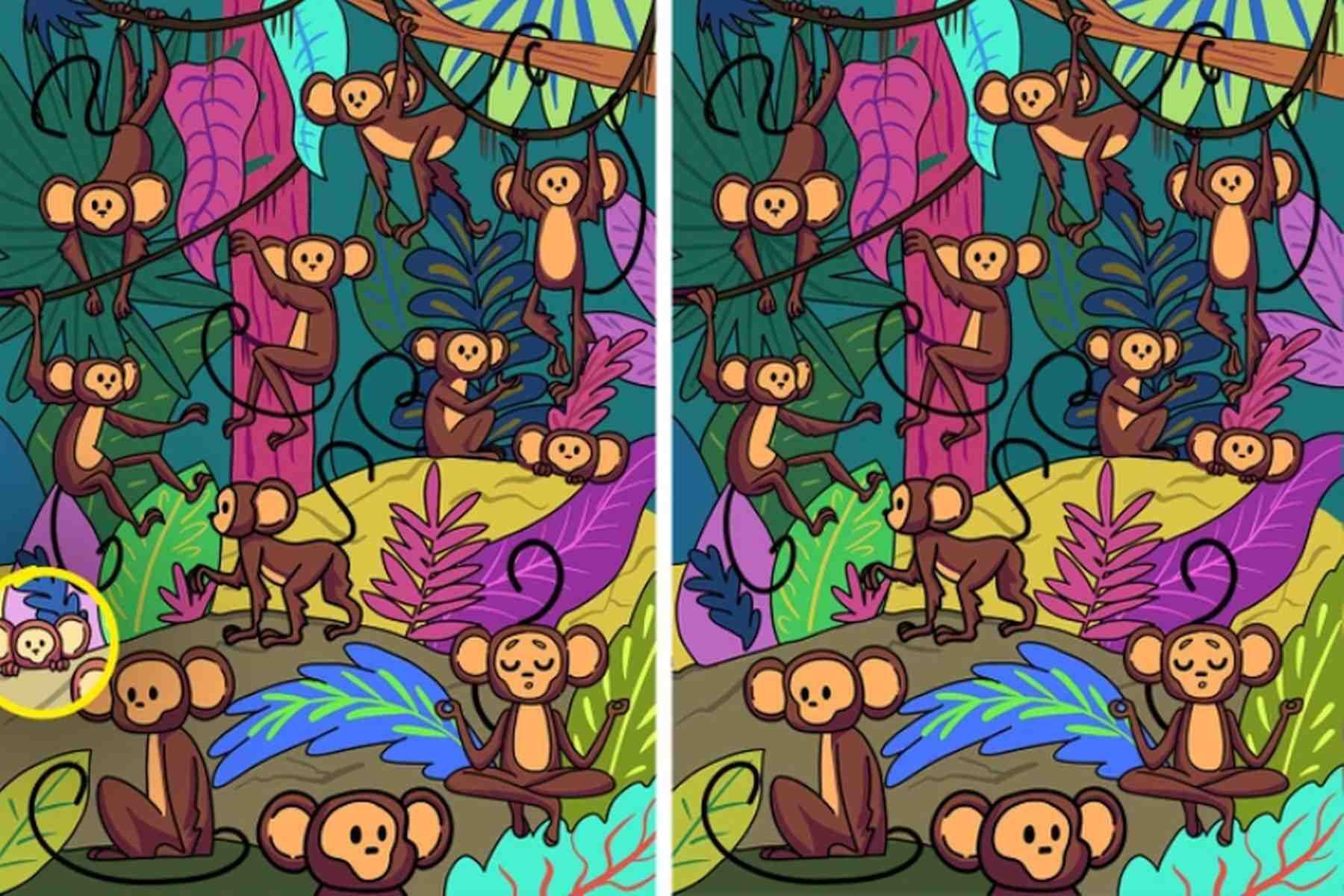 RETO VISUAL | Aquí se indica la diferencia entre las dos imágenes de monos. (Foto: genial.guru)