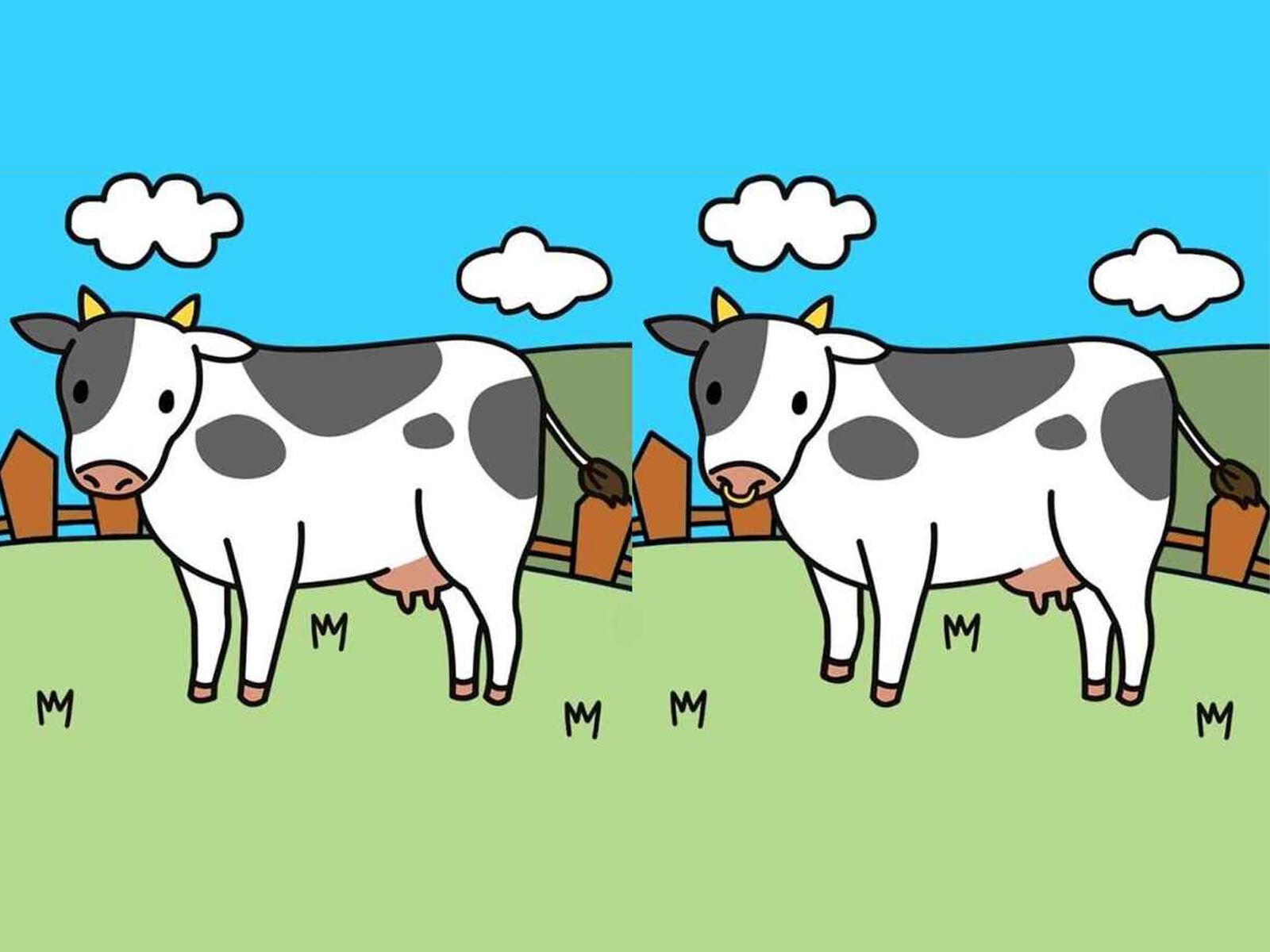 RETO VISUAL | Solo si te encuentras dentro del grupo con los ojos más atentos podrás encontrar cinco diferencias entre las imágenes de vacas pastando en 15 segundos. ¿Puedes?