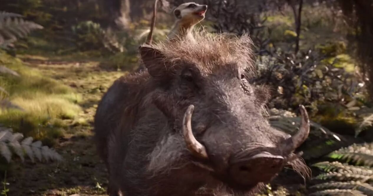 Seth Rogen regrasa como Pumba en "Mufasa: El Rey León" (Foto: Walt Disney Studios Motion Pictures)