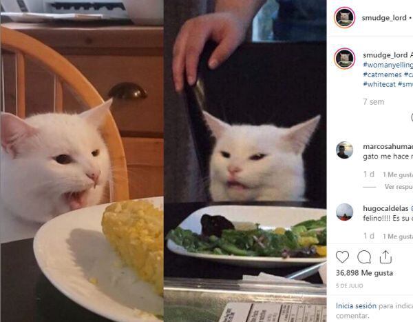 Este imagen fue publicada en la cuenta de Instagram creada en honor al felino que aparece en el popular meme | Foto: @smudge_lord