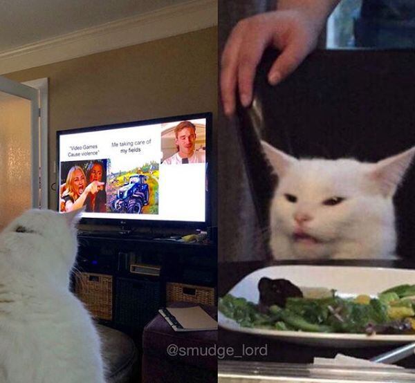 El gato que aparece en el meme tiene una propia cuenta de Instagram | Foto: @smudge_lord