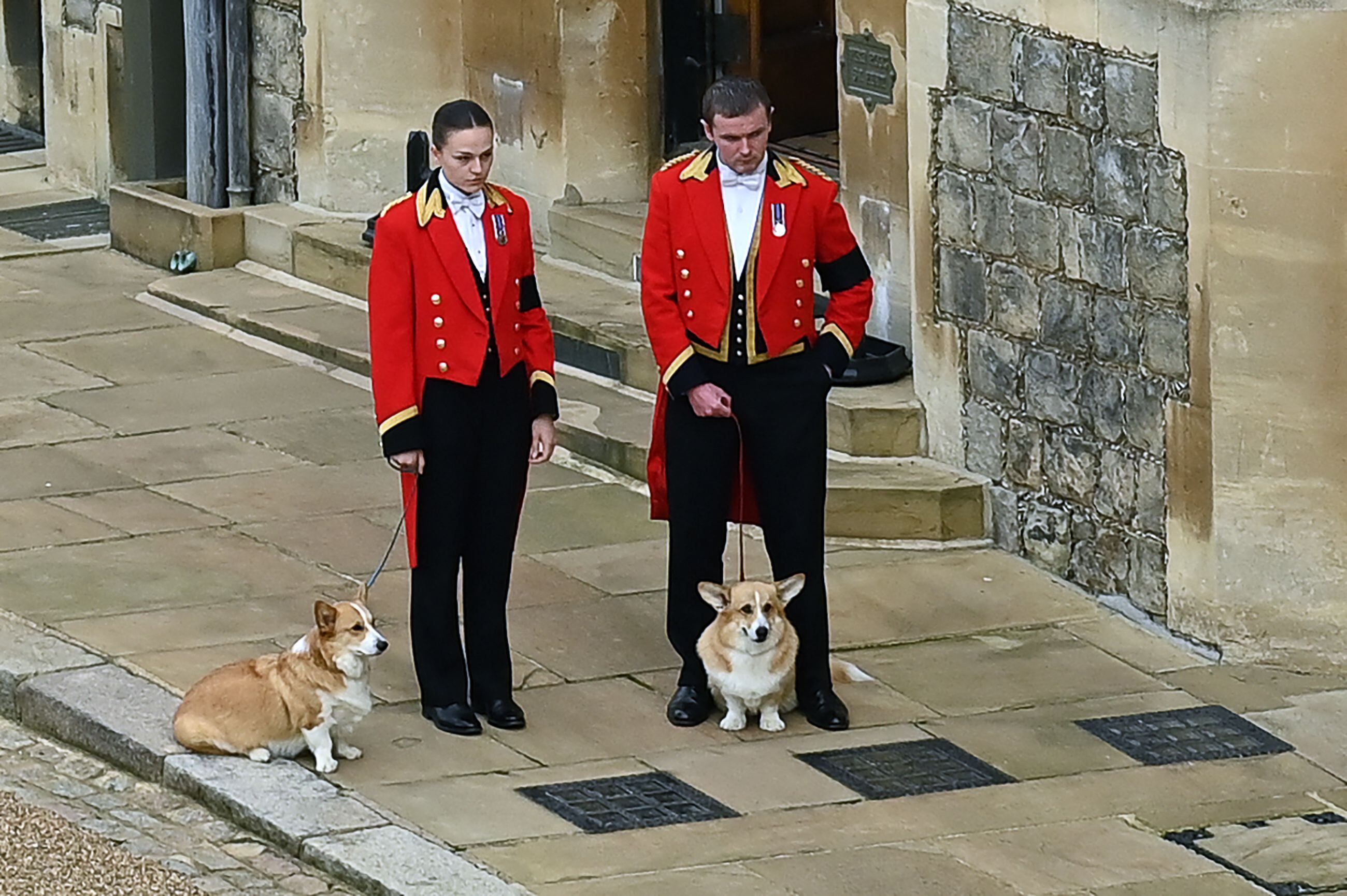 Muick y Sandy durante los funerales de la reina Isabel II. (Foto: AFP)