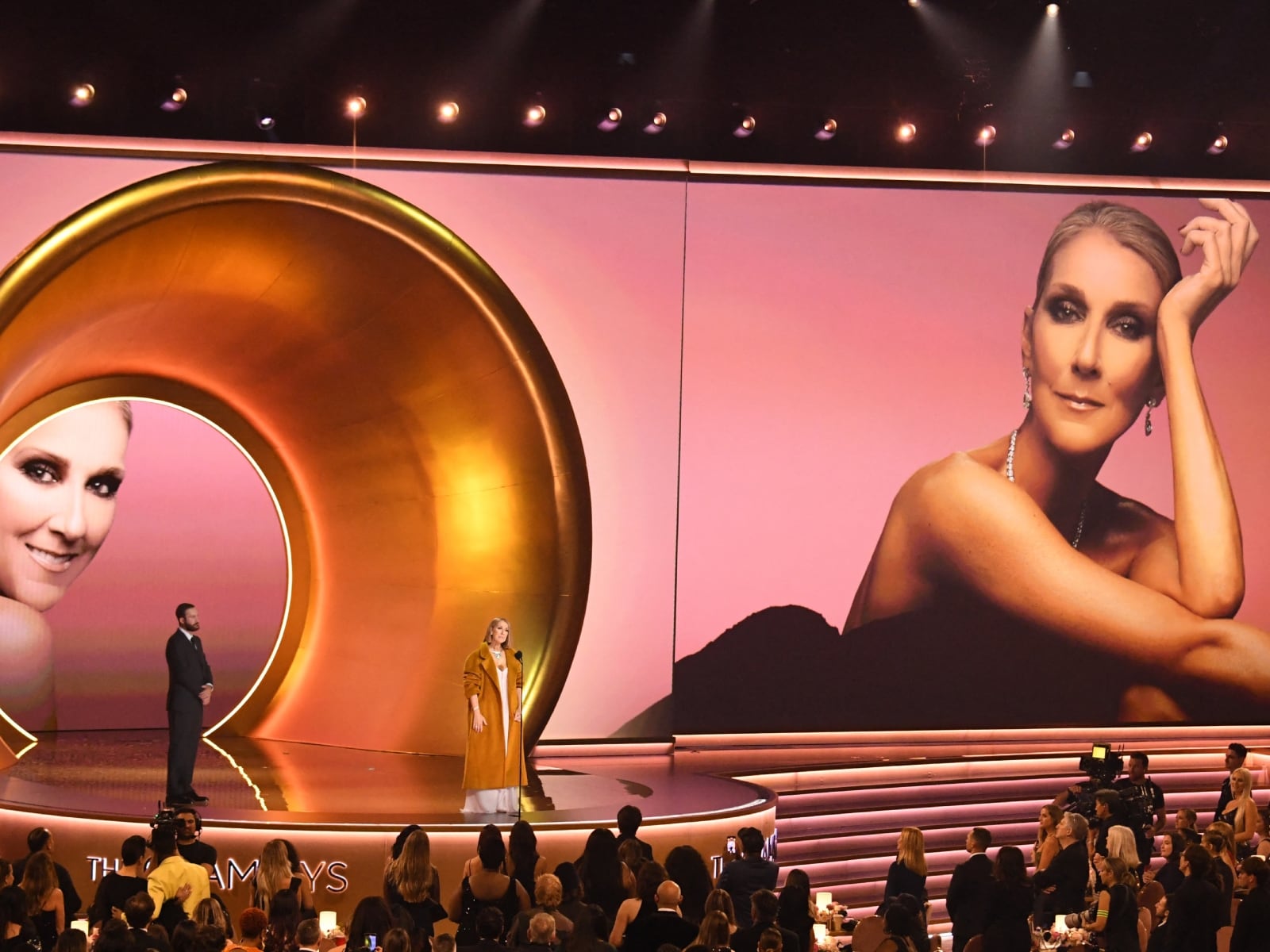 Céline Dion fue recibida en los premios Grammy 2024, con el público de pie y sus fotografías en el escenario (Foto: AFP)