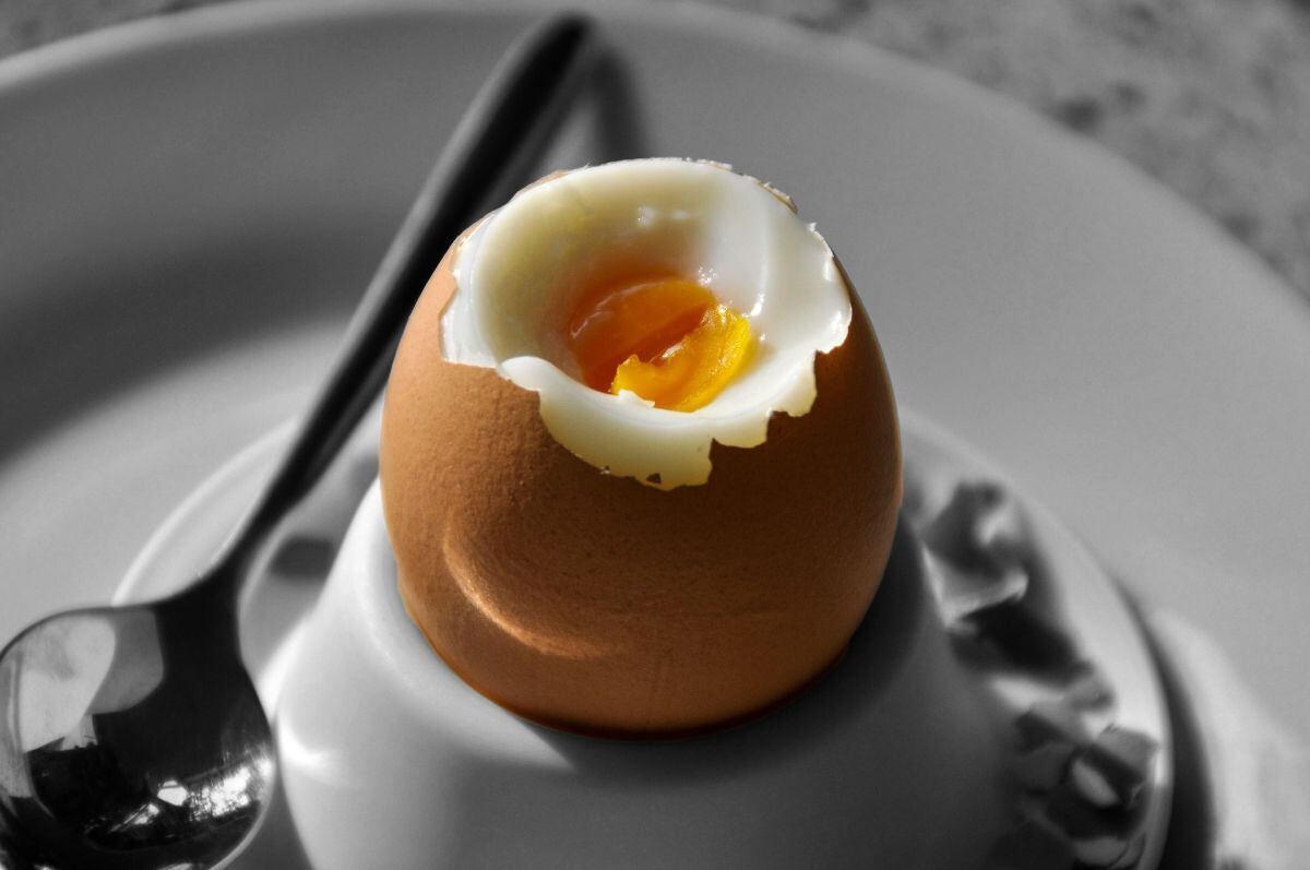 El huevo es uno de los protagonistas del desayuno en muchos hogares del mundo por su alto valor nutricional. (Foto: Pixabay)